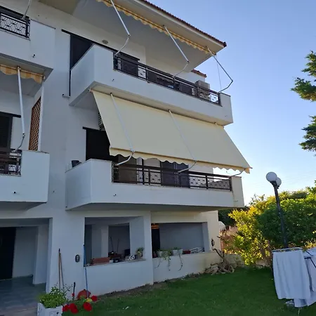 Flower Amazing Beachfront Apartment