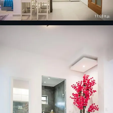 Apartment Flower Amazing Beachfront *