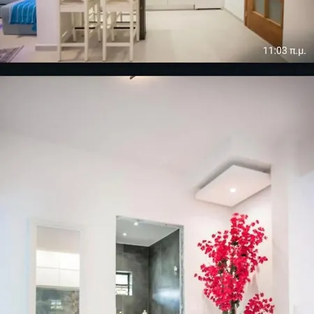 Apartment Flower Amazing Beachfront *